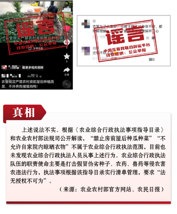 yaoyan 5.jpg
